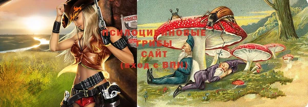 винт Балахна